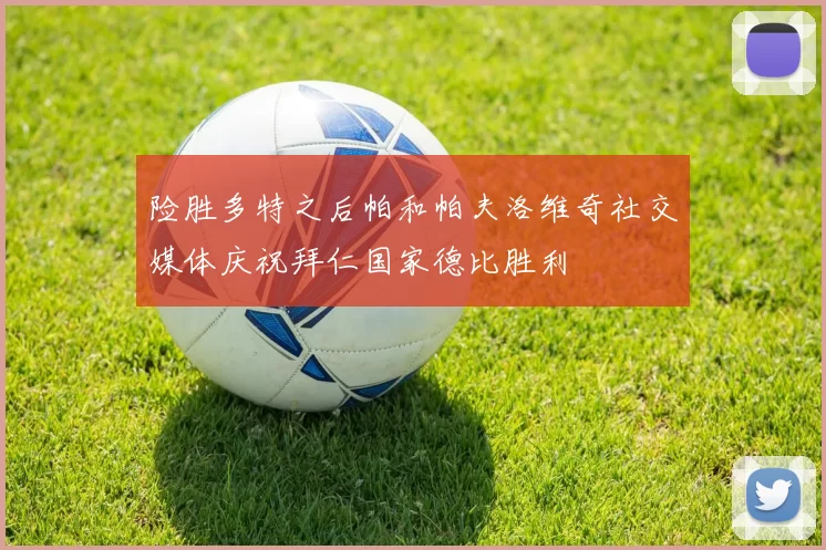 险胜多特之后帕和帕夫洛维奇社交媒体庆祝拜仁国家德比胜利