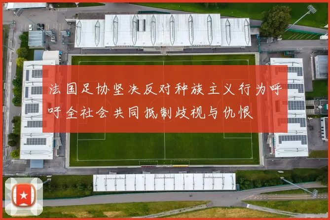 法国足协坚决反对种族主义行为呼吁全社会共同抵制歧视与仇恨